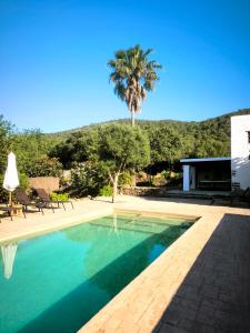 a swimming pool with a palm tree in the background at Can Pep Frit in Ibiza Town