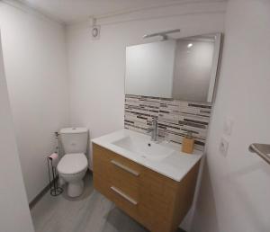 a bathroom with a toilet and a sink and a mirror at Bungalow P&P in Entre-Deux
