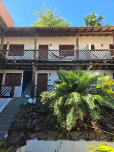 a house with a palm tree in front of it at Fantasia do Agreste in Jandaíra