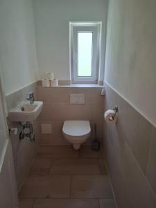 a bathroom with a toilet and a sink and a window at Haus Kern in Hallstatt +13 photos