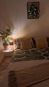 a bed in a bedroom with a plant on the wall at Apartma Deni in Jelšane