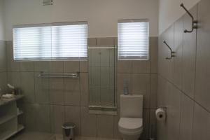 a bathroom with a toilet and a glass shower at The Alchemist's Place in Oudtshoorn