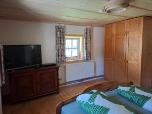 a living room with a television and a couch at Haus Kern in Hallstatt