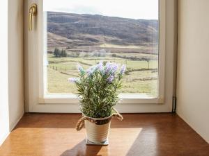 a potted plant sitting in front of a window at Hill Cottage in Ardmair +7 photos