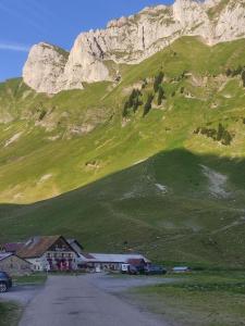 a green hillside with a house and a mountain at Studio en Abondance in Vacheresse