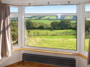 a window with a view of a horse in a field at Briardene Cottage in Whitestone