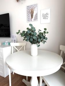 a white table with a potted plant on top of it at Blaxy del Mar Studio Olimp in Olimp
