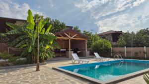 a pool in a backyard with two chairs and a palm tree at Busheti Home in Telavi