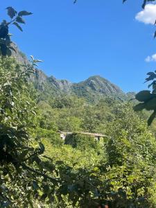 a mountain in the middle of a field with trees at Tresnjin hlad in Limljani