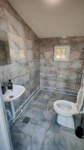 a bathroom with a toilet and a sink at Riverside Rooms in Šavnik