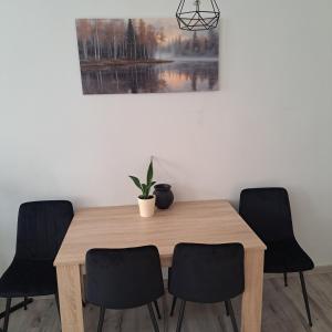 a dining room table with four chairs and a potted plant at Noclegi Piastów 25 in Nowa Ruda +3 photos