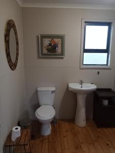 a bathroom with a toilet and a sink at Bietjierus Guest Cottage in Twee Riviere