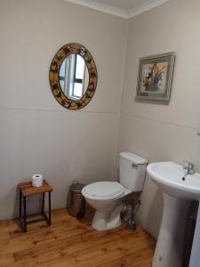 a bathroom with a toilet and a sink at Bietjierus Guest Cottage in Twee Riviere