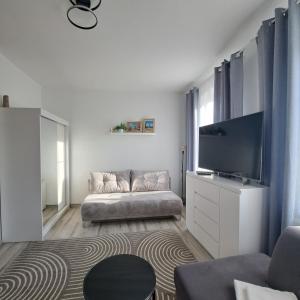 a living room with a couch and a flat screen tv at Noclegi Piastów 25 in Nowa Ruda