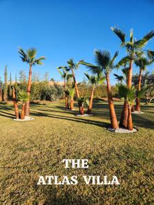 a group of palm trees in a grass field at Atlas villa c3 in Sraghna
