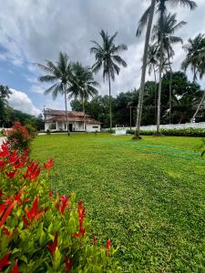 a lawn with palm trees and a house in the background at Haritham Heritage Villa in Vadakkāncheri