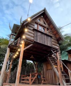 a tree house in the middle of a forest at CHALÉ SERINGUEIRA in Outeiro