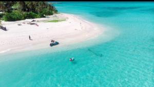 an aerial view of a beach with a boat in the water at Island Hospitality in Himandhoo  +3 photos