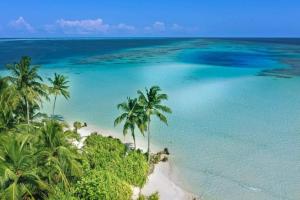 an aerial view of a beach with palm trees and the ocean at Island Hospitality in Himandhoo 