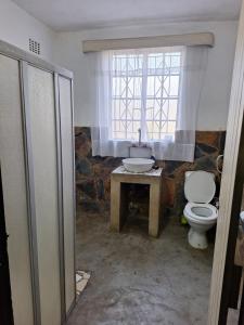 a bathroom with a toilet and a sink and a window at Old Mill B&B in Magaliesburg