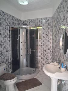 a bathroom with a shower and a toilet and a sink at Skyview Palace in Montpelier +38 photos