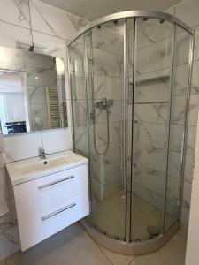 a bathroom with a shower and a sink at Ferienwohnung Trinh 1 in Überlingen