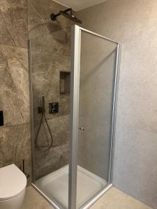 a shower stall in a bathroom with a toilet at Artha Apartments Rust - Europa-Park in Rust +8 photos