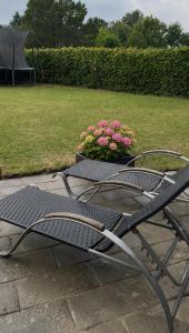 a black chair sitting on a patio with flowers at Krageholmshytten in Karrebæksminde