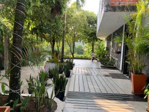 a courtyard with plants and a building at Hostal Monte Verde in Zaragoza +13 photos