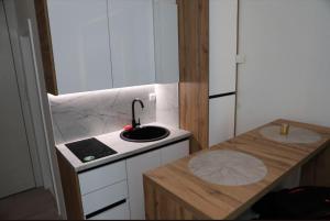 eine kleine Küche mit Spüle und Arbeitsfläche in der Unterkunft Square Studio Brcko in Brčko
