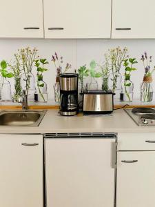 a kitchen counter with several pots of plants on it at Dinkelsbühl-Ferienappartement in Mönchsroth