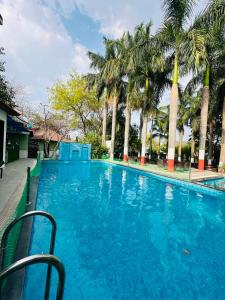 a large blue swimming pool with palm trees at The Whispering Palms Resort in Bhopal +24 photos