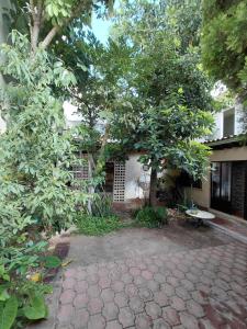 a house with two trees and a stone walkway at Casa xocolatl in San Miguel de Allende