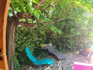 a blue chair and a table under a tree at Tiny Isle in L'Isle-sur-la-Sorgue