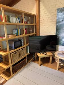 a living room with a tv and a book shelf at Gästeappartement Appricot in Adendorf