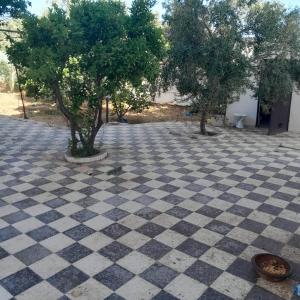 a checkered floor with two trees in a courtyard at Grande maison de vacances 250m2 in Rejiche