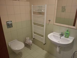 a bathroom with a toilet and a sink at penzion BON TRE in Třeboň