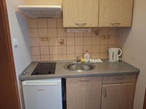 a small kitchen with a sink and a counter at penzion BON TRE in Třeboň +2 photos