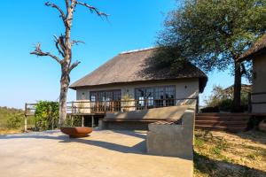 a house with a thatched roof and a tree at Mbizi Bush Lodge in Grietjie Game Reserve