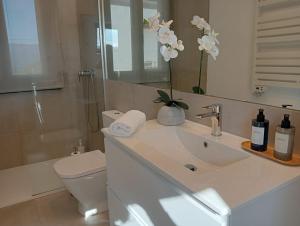 a bathroom with a sink and a toilet and a mirror at Casa Tome A Teixeira - Ribeira Sacra in Teixeira