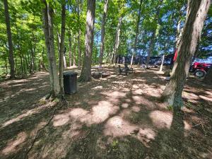 a picnic area in a forest with trees and a trashcan at The Hocking Hills Store Campsite #2 in Logan +10 photos
