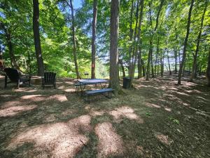 a picnic table and a bench in the woods at The Hocking Hills Store Campsite #2 in Logan