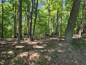 a forest with two picnic tables and trees at The Hocking Hills Store Campsite #2 in Logan