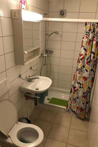 a bathroom with a toilet and a sink and a mirror at Apartment Panoramablick mit Charme by Interhome in Wasen