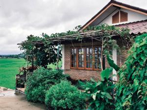 a small house in front of a green field at Darins House in Nan