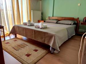 a bedroom with two beds and a rug on the floor at GiannisHouse in Florina