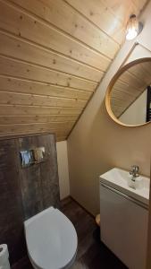 a bathroom with a white toilet and a sink at Bliżej Lasu - Rodzinny domek w górach in Stary Gieraltów +31 photos