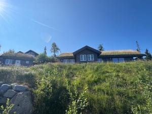 a group of houses with grass roofs on a hill at Vikerfjell i Ringerike, Oslos nærmeste høyfjell in Hønefoss