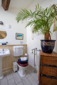 a bathroom with a toilet and a potted plant at The Forge in Bakewell +39 photos