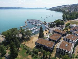 Luftaufnahme eines Yachthafens mit Booten im Wasser in der Unterkunft Pattùs Hôtel in Saint Aubin Sauges